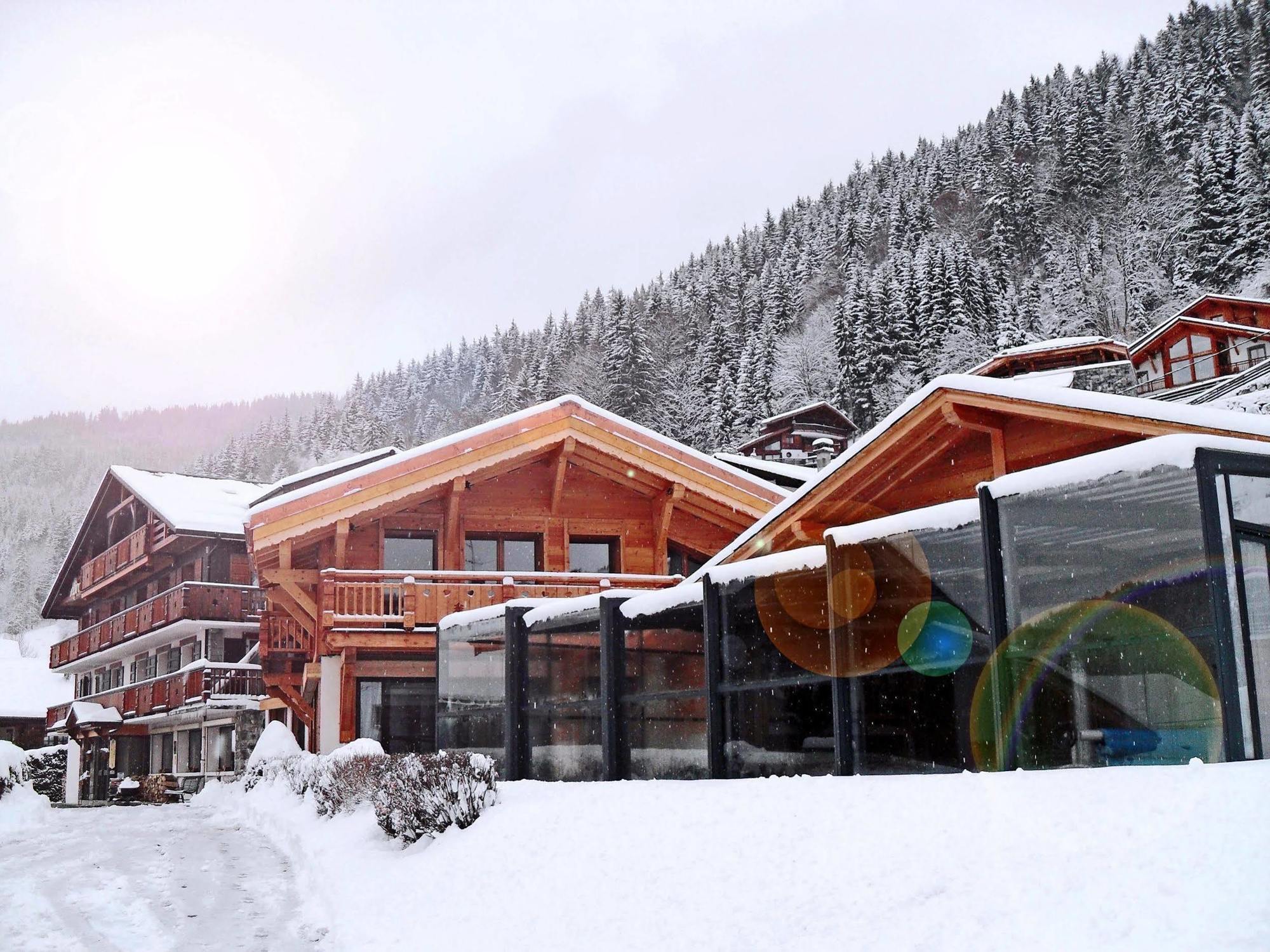 Hotel Alpina モルジヌ エクステリア 写真